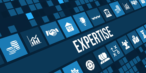 curso_expertise1
